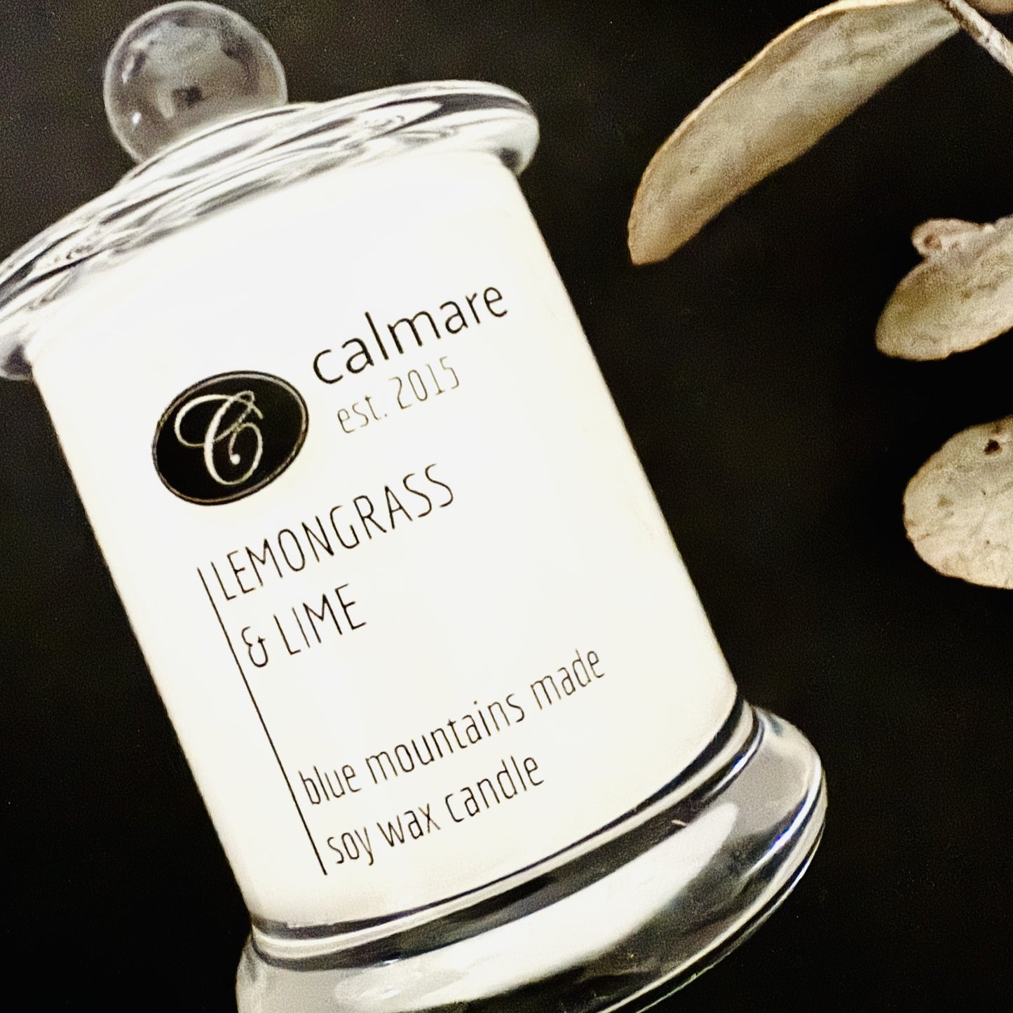 a. 50g Soy Wax Candle