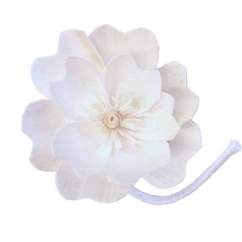 i. Reed Diffuser Refills & Accessories