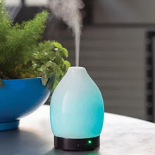 Load image into Gallery viewer, p. Essential Oil Mist Diffuser
